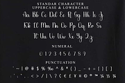 Shine Beach, a Handwritten Font by FreshTypeINK (Thumbnail 7 of 8)