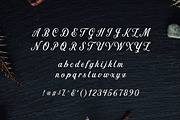 Nomah Semibold + Bonus, a Script Font by Nicolas Fredrickson (Thumbnail 2 of 5)