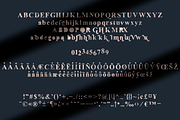 Oldink - handwritten serif typeface, a Serif Font by VP Fonts (Thumbnail 9 of 10)