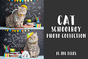 Cat schoolboy, an Animal Photo by AnStore (Thumbnail 1 of 2)