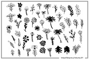 Botanical Plant & Floral Mega Bundle, an Object Graphic by kristiangallagher (Thumbnail 3 of 3)