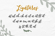Estylle Madison Business Font, a Script Font by Creatype Studio (Thumbnail 13 of 16)