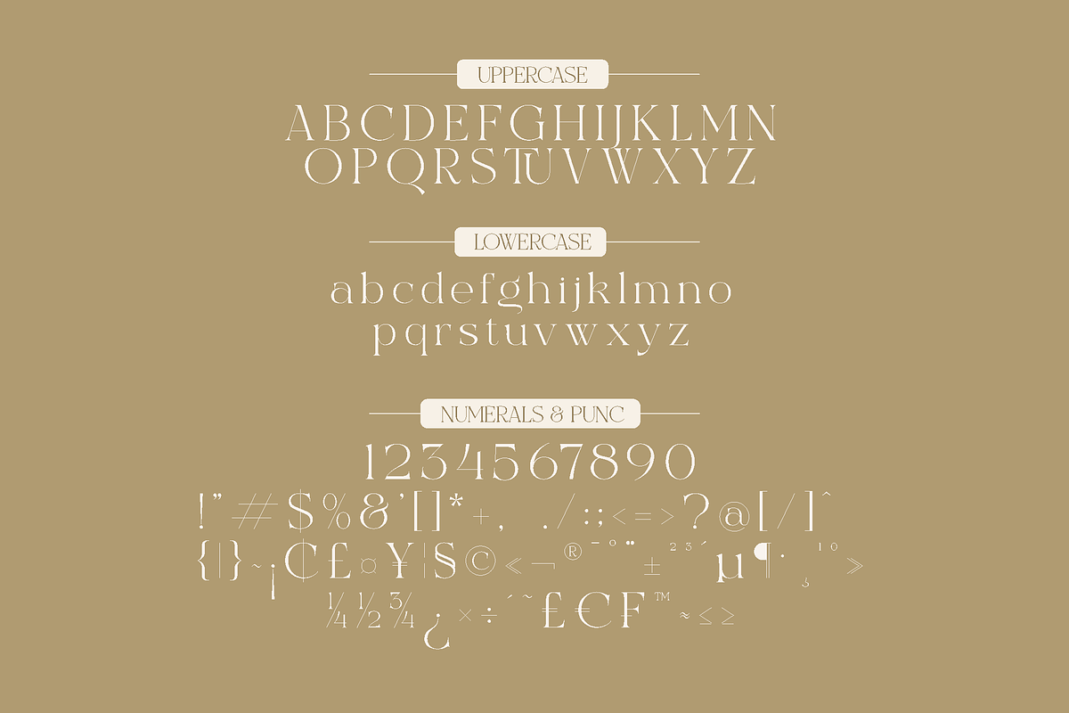 Excrallik Modern Serif, a Serif Font by Denustudios (Photo 5 of 7)