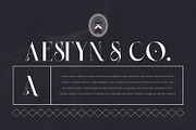 Stetling - Elegant Modern Serif Font, a Serif Font by Zeatype (Thumbnail 4 of 11)