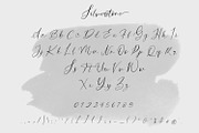 Silverstone - Calligraphy Font, a Script Font by Arendxstudio (Thumbnail 8 of 8)