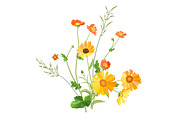 Vector object brushes. Calendula, a Brush Add-On by Peolla (Thumbnail 15 of 16)