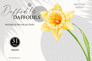 Watercolor daffodils clipart set, an Object Graphic by KarinkaBU (Thumbnail 6 of 6)