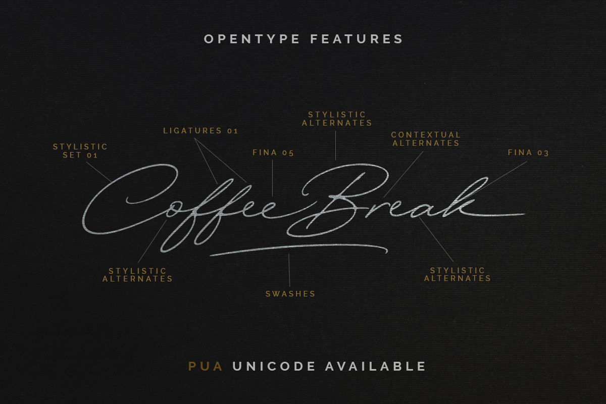 Quick Signature Pro, a Script Font by Hendra Pratama (Photo 17 of 20)