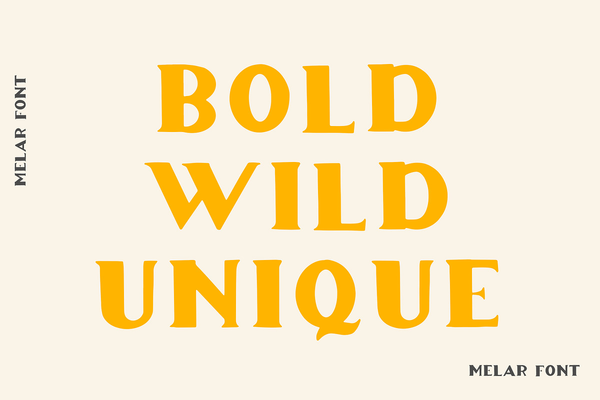 Melar - a hand drawn serif font, a Serif Font by Art pages (Photo 3 of 14)