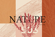 Modern Abstract Graphics Collection, an Object Graphic by ARKS ACADEMY (Thumbnail 1 of 15)