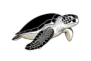 50 Sea Turtle Vector Silhouette Bund, an Illustration by jahid234 (Thumbnail 6 of 51)