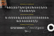 NotShy Font, a Serif Font by Haws.std (Thumbnail 5 of 5)