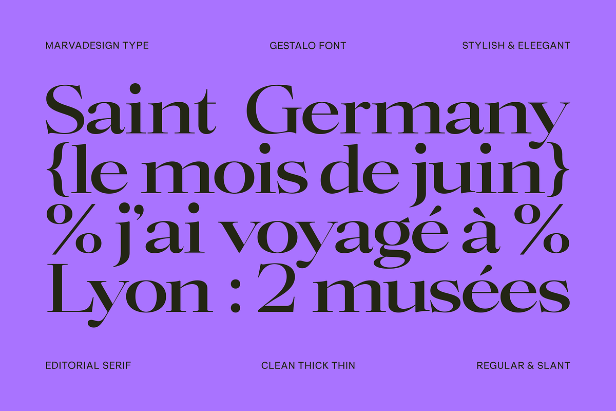 Gestalo - Elegant Family Serif, a Serif Font by Marvadesign (Photo 10 of 10)