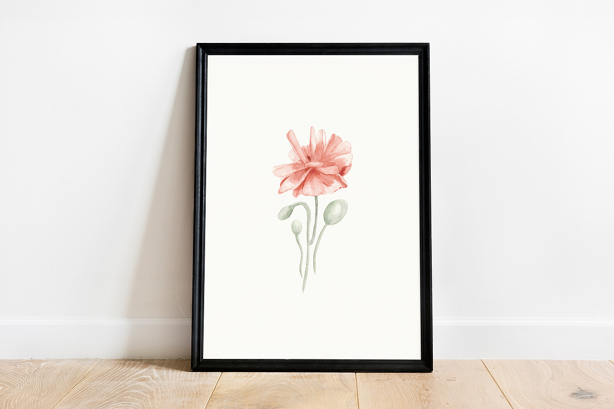 Poppy Blooms – Watercolor & Line Art, a Decorative Illustration by Liliia Polos Illustration (Photo 2 of 11)