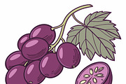 Fresh purple grapes, a Food Illustration by SouravDesign (Thumbnail 3 of 3)