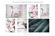 Photo bundle+bonus, a Social Media Template by Una Matison (Thumbnail 3 of 21)