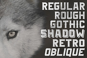 Fenrir Typeface, a Font by Tugcu Design Co. (Thumbnail 2 of 5)