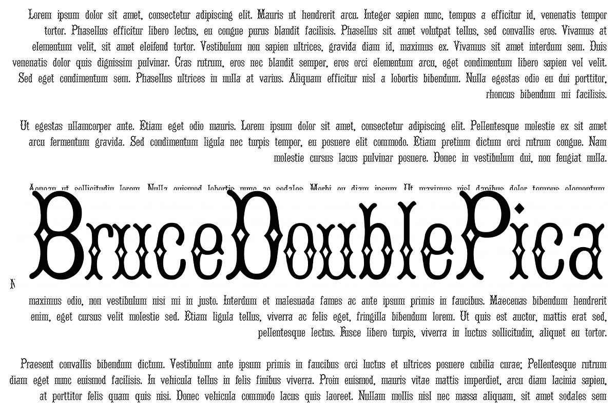 Bruce Double Pica PACK, a Serif Font by Intellecta Design (Photo 1 of 6)
