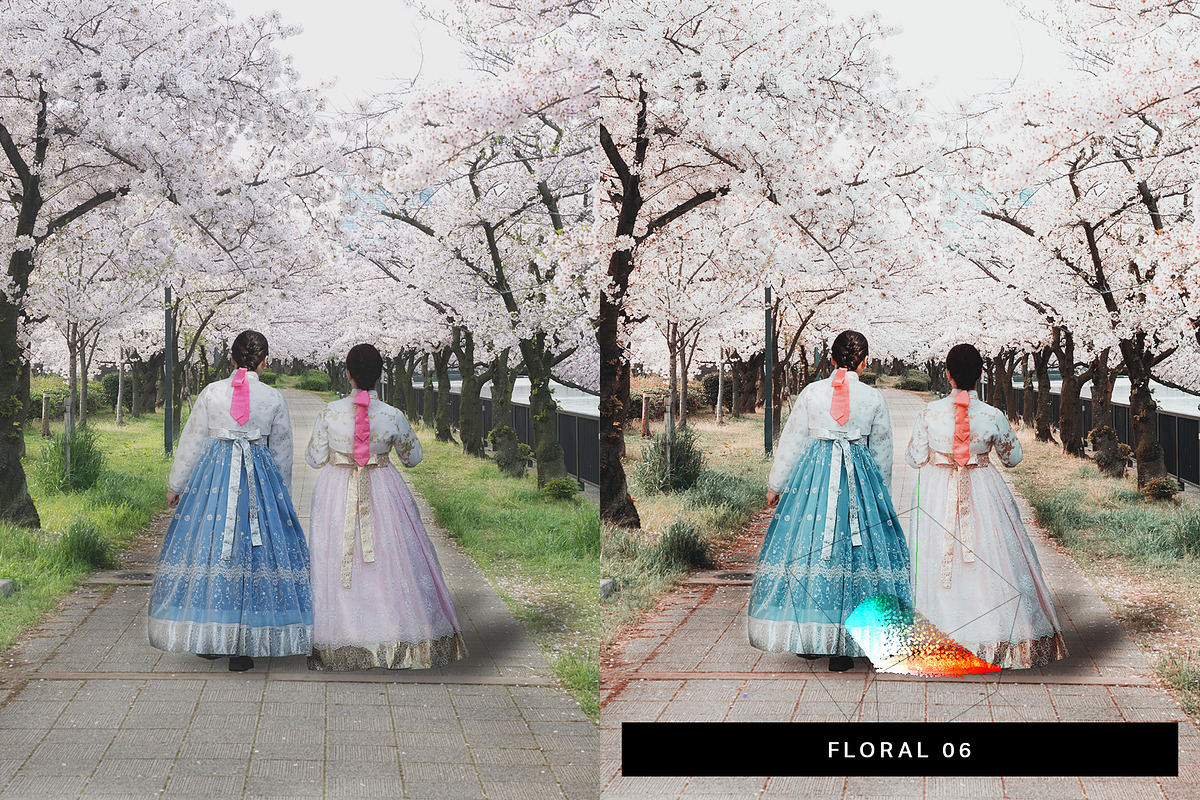 50 Sakura Lightroom Presets and LUTs, a Preset Add-On by SparkleStock (Photo 4 of 10)