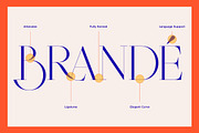 Braston - Elegant Serif Font, a Serif Font by Dora Typefoundry (Thumbnail 18 of 20)
