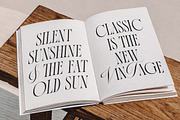 La Primera Ligature Serif, a Serif Font by Letteralle Studios (Thumbnail 9 of 13)