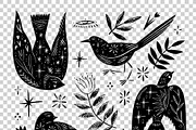 Boho Birds Bundle, an Object Graphic by Annie Konst (Thumbnail 3 of 11)