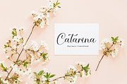 White Sand | Script Font, a Handwritten Font by Scratchones (Thumbnail 5 of 8)
