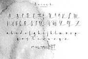 Briosh, a Script Font by Larin Type Co. (Thumbnail 10 of 12)