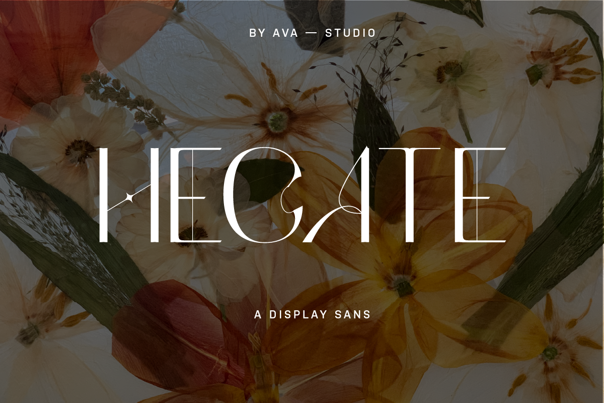 Hecate Sans Display, a Sans Serif Font by BY AVA — studio (Photo 1 of 8)