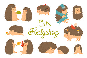 Cute cartoon hedgehog set, an Animal Illustration by Good Studio