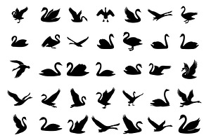 Collection of Silhouettes of swans, an Animal Illustration by nandinigraphics
