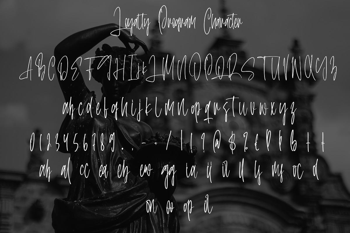 LoyaltyProgram - Calligraphy Font, a Symbol Font by AQR Studio (Photo 4 of 9)
