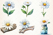 Watercolor Daisy Clipart, an Illustration by Libby Wishes (Thumbnail 3 of 5)