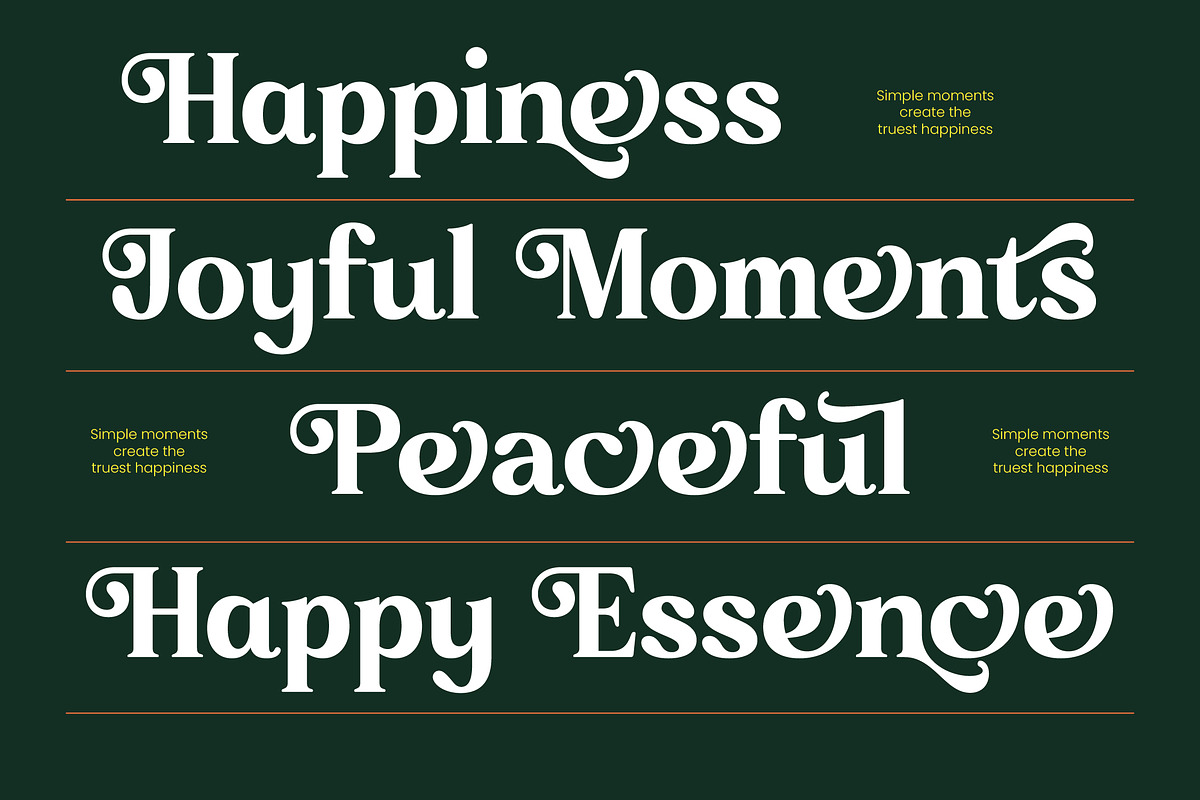 Broken Relent Decorative Serif, a Serif Font by timelesstype.co (Photo 8 of 20)