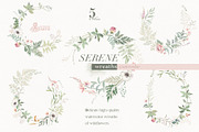 Serene. Watercolor Collection, an Illustration by OctopusArtis (Thumbnail 4 of 7)