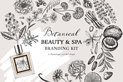 Botanical Beauty & Spa Branding Kit, a Healthcare Illustration by Yevheniia (Thumbnail 1 of 12)