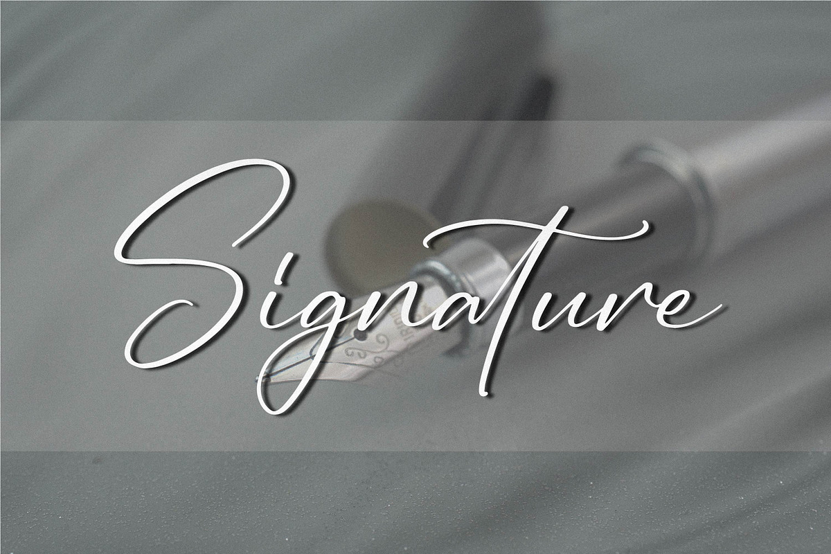 Ruliena, a Script Font by Integritype Studio (Photo 7 of 15)