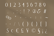 Fedgloya - Elegant Font, a Serif Font by Randi Irvan | Rvandtype (Thumbnail 13 of 13)
