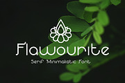 Flawourite serif typeface, a Slab Serif Font by Magda (Thumbnail 1 of 4)