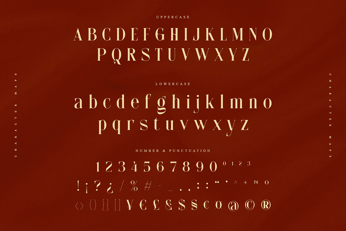 Anzelie – Elegant Stylish Serif, a Serif Font by Almeera Std (Photo 10 of 10)
