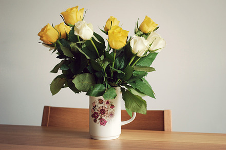 Simple White Flowers preview 4