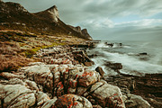 Film Lightroom Presets, an Action Add-On by Bamboobear Books Shop (Thumbnail 2 of 7)