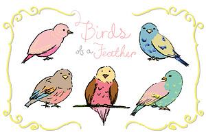 Birds of a Feather