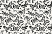 Seamless Butterflies Moth insects, a Pattern Graphic by Vintage (Thumbnail 4 of 13)