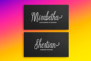 Werdhian Script, a Script Font by Solidtype (Thumbnail 4 of 6)