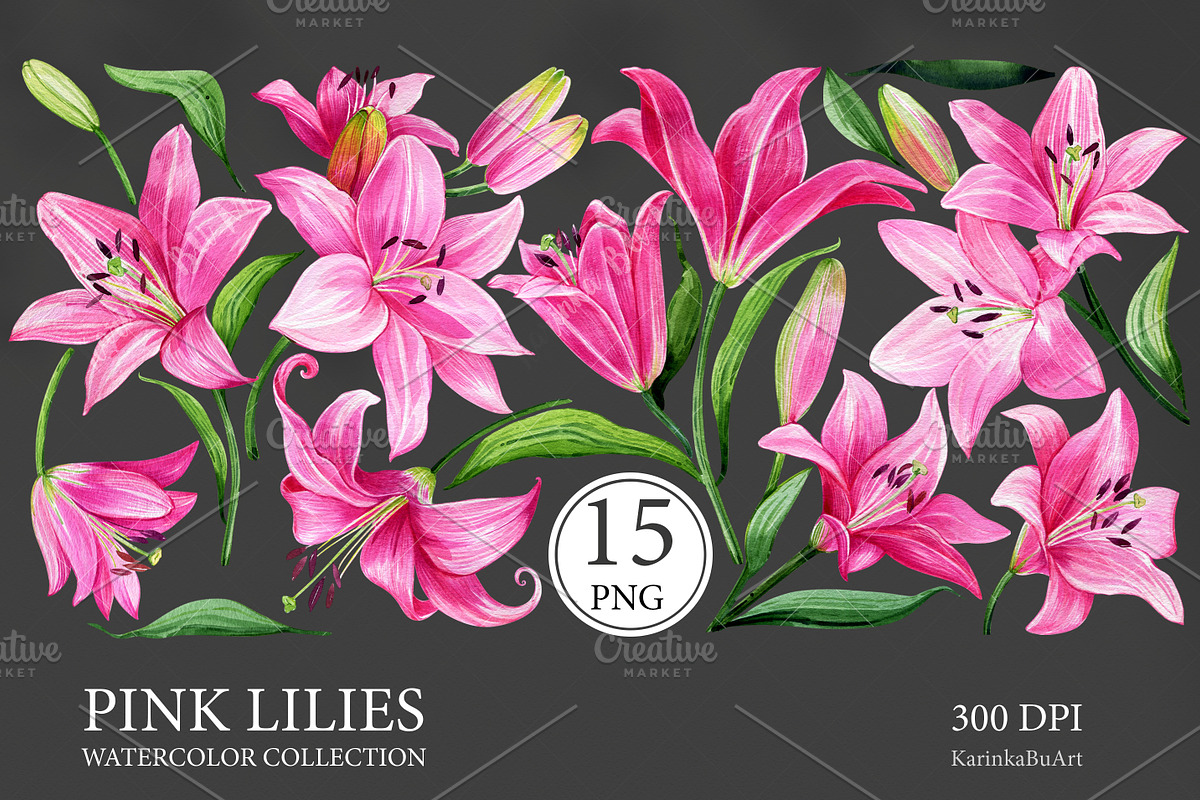 Watercolor Pink Lily Floral Elements, an Object Graphic by KarinkaBU (Photo 5 of 6)