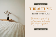 Baleny Elegant Font Duo, a Serif Font by Craft Supply Co. (Thumbnail 8 of 12)