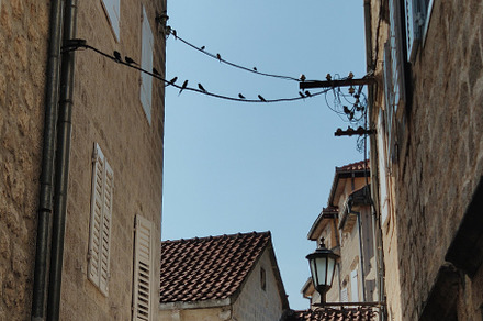 Beautiful narrow street with lantern, an Architecture Photo by Photo by YuraYaryna