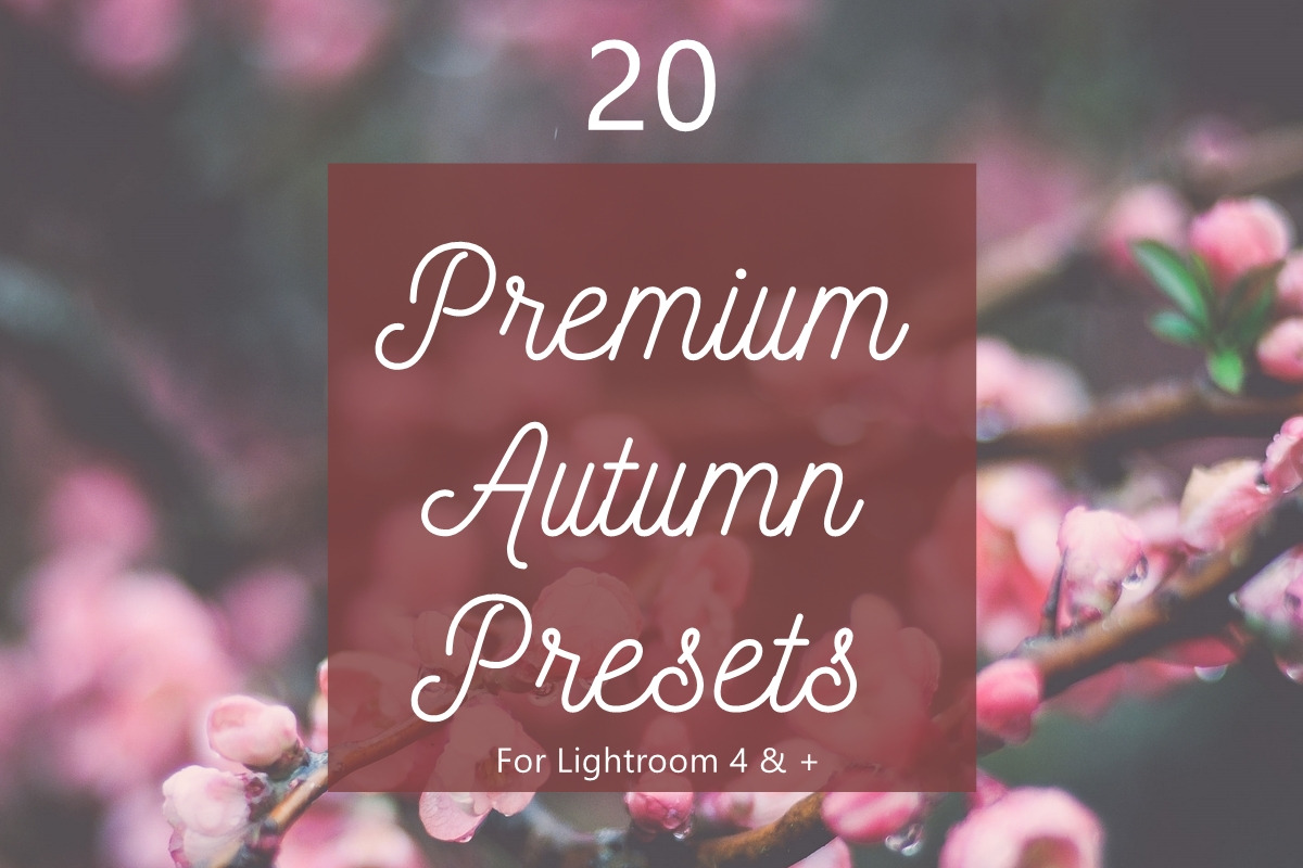 Pack 20 Premium Autumn Fall Presets