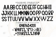 Beautiful Christmas, a Sans Serif Font by FreshTypeINK (Thumbnail 6 of 8)